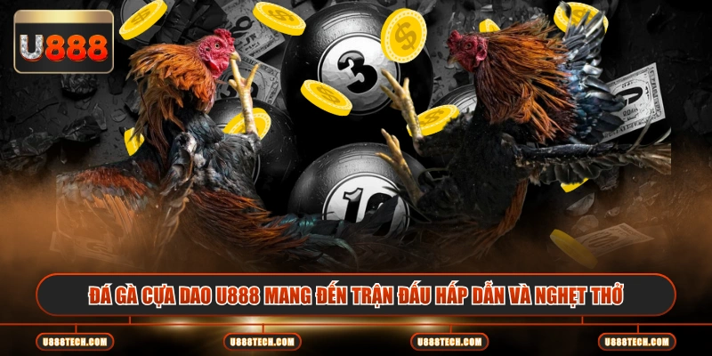 Đá gà cựa dao U888 mang đến trận đấu hấp dẫn và nghẹt thở