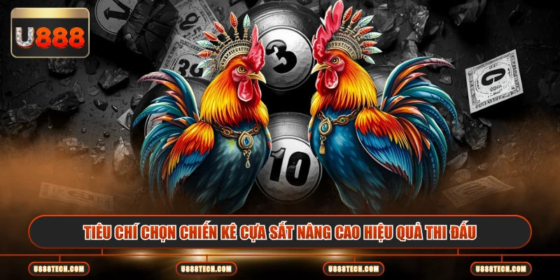 Tiêu chí chọn chiến kê cựa sắt nâng cao hiệu quả thi đấu